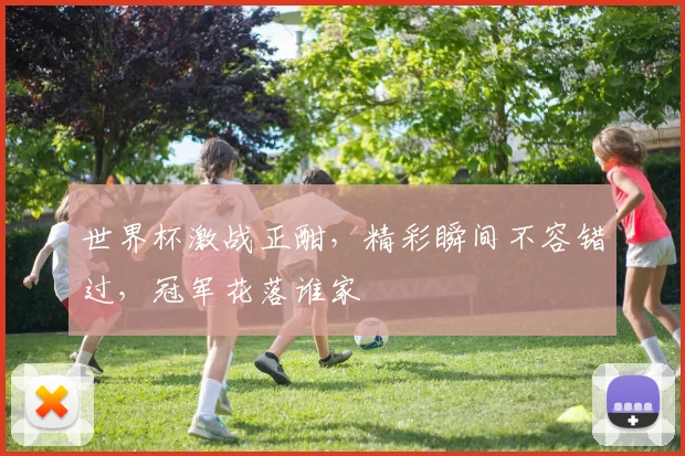 世界杯激战正酣，精彩瞬间不容错过，冠军花落谁家