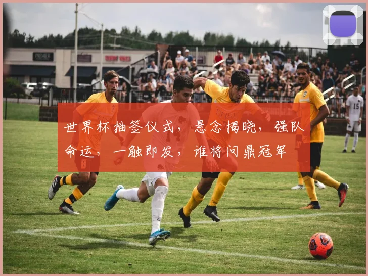 世界杯抽签仪式，悬念揭晓，强队命运，一触即发，谁将问鼎冠军