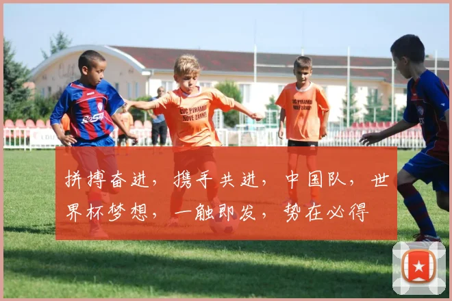 拼搏奋进，携手共进，中国队，世界杯梦想，一触即发，势在必得