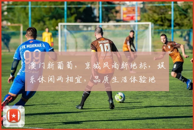 澳门新葡萄，京城风尚新地标，娱乐休闲两相宜，品质生活体验地