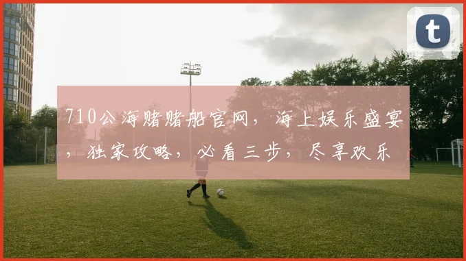 710公海赌赌船官网，海上娱乐盛宴，独家攻略，必看三步，尽享欢乐之旅