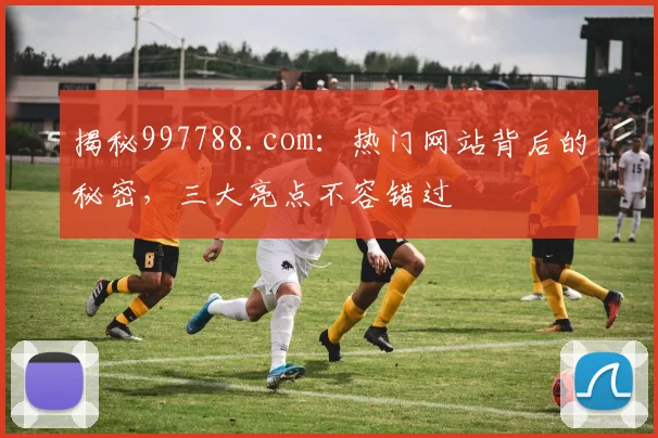 揭秘997788.com：热门网站背后的秘密，三大亮点不容错过