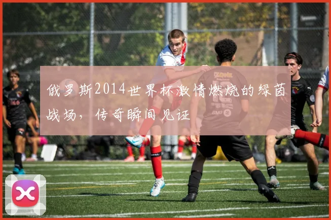 俄罗斯2014世界杯激情燃烧的绿茵战场，传奇瞬间见证